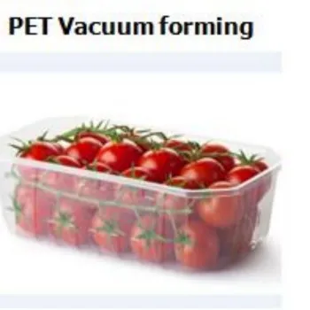 APET Food Delivery Packaging Boxes